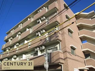 クラシオンルガール イシカワIIの画像