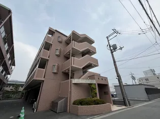 エムス金剛II【3階】の外観
