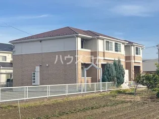 サンコート ブロッコリーの画像