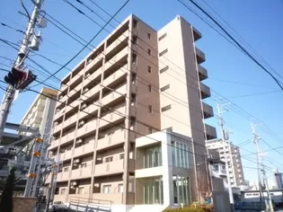 モア ベリーの画像