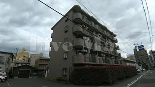 Nasic柏【1階】の外観