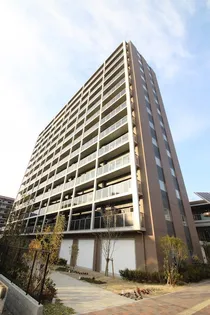 メディプラカーサの画像