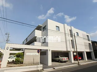 カーサソロチョウの画像