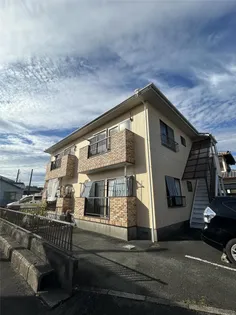 ハイツルピナスの画像