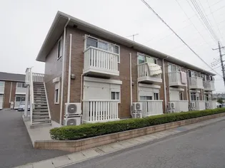 グローリアCの画像