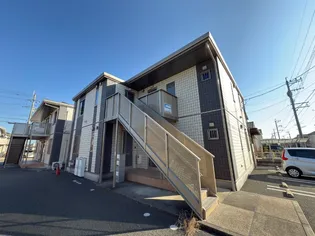 ピジョンBの画像