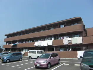 ドリーム15の画像