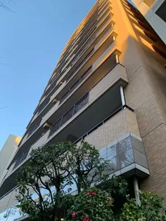 セザール第三三ノ輪の画像