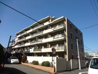 パレッヂ新小岩【5階】の外観