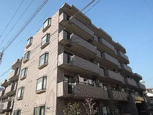 レヴィオンの画像