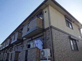 ソフィアローズの画像