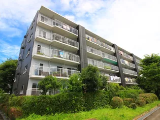 東急ドエル桶川ビレジ 2号棟の画像