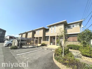 アリウムガーデンの画像