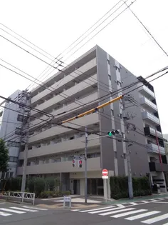 パティーナ菊川の画像