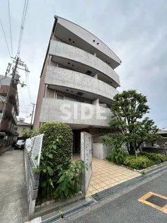 DITコートの画像