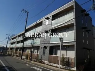 ステラ美光の画像