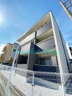 プラシードの画像