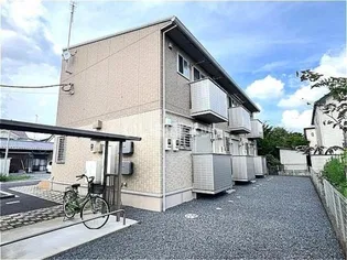 サンフローラの画像