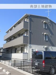 アメニタの画像