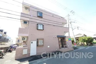 ルミエールマルフクの画像