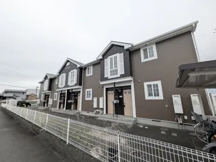 ひまわりの画像