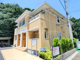 ヴィータ21の画像