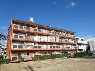 M タウニーの画像