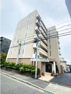 コンソラトゥールの画像