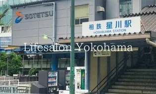 ナイスエスアリーナ横濱星川【5階】の周辺