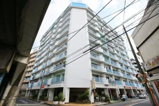 フドウ西川口ハイツ【10階】の外観