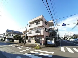 ファステ テームの画像