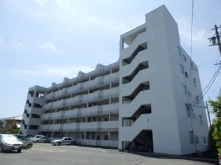 EVEさいわいの画像