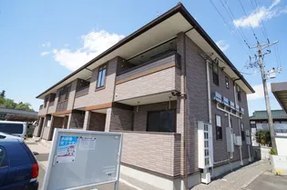 モーニング グローリーの画像