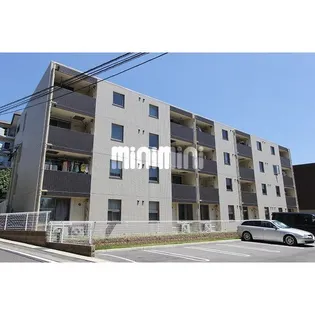 グリーンリーフの画像