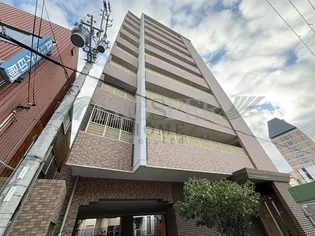 セイグレイスの画像