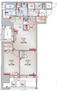 アクタス福岡県庁前グラシア【6階】の間取り