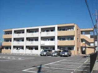 ベル アノンの画像