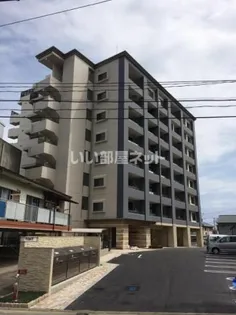 Y'S COURT IIIの画像