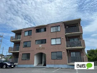 キャメリアAの画像