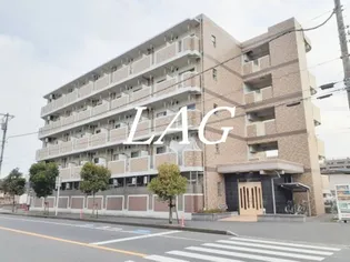 ベルク フェルトの画像