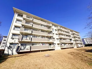 小金原団地11号棟の画像