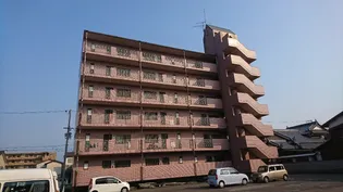 グレイス ローズの画像