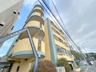 上町グリーンハイツ【5階】の外観