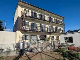 プチロワイワルの画像