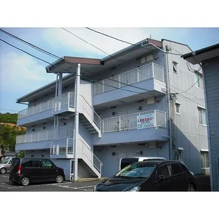 カレント井口Bの画像