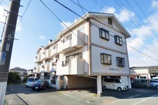 セントポーリアダイニの画像