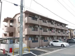 ツリーベルズの画像