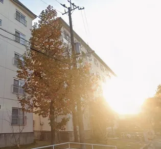 UR泉北桃山台一丁団地25棟の画像