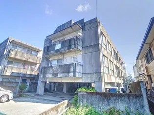 カサグレイズの画像