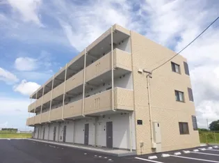 アンジューVIIIの画像